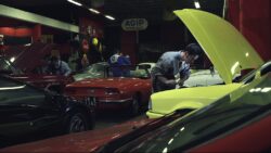 Torve Fantasie - immagine 3