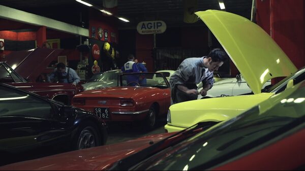 Torve Fantasie - immagine 3