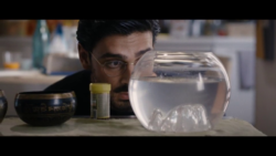 L'ultimo giorno del toro - immagine 7